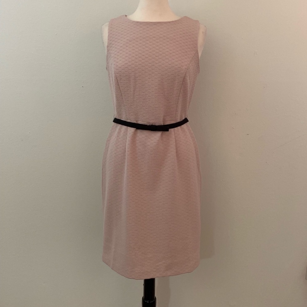 NWT blush sleeveless, belted dress The Limited